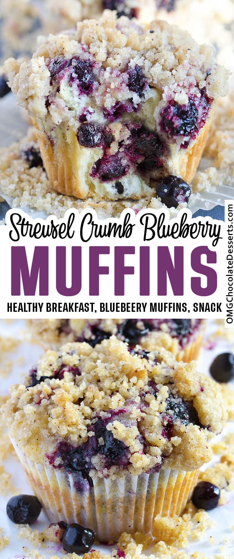 Blueberry Streusel Mini Muffins with Greek Yogurt - Well Seasoned Studio