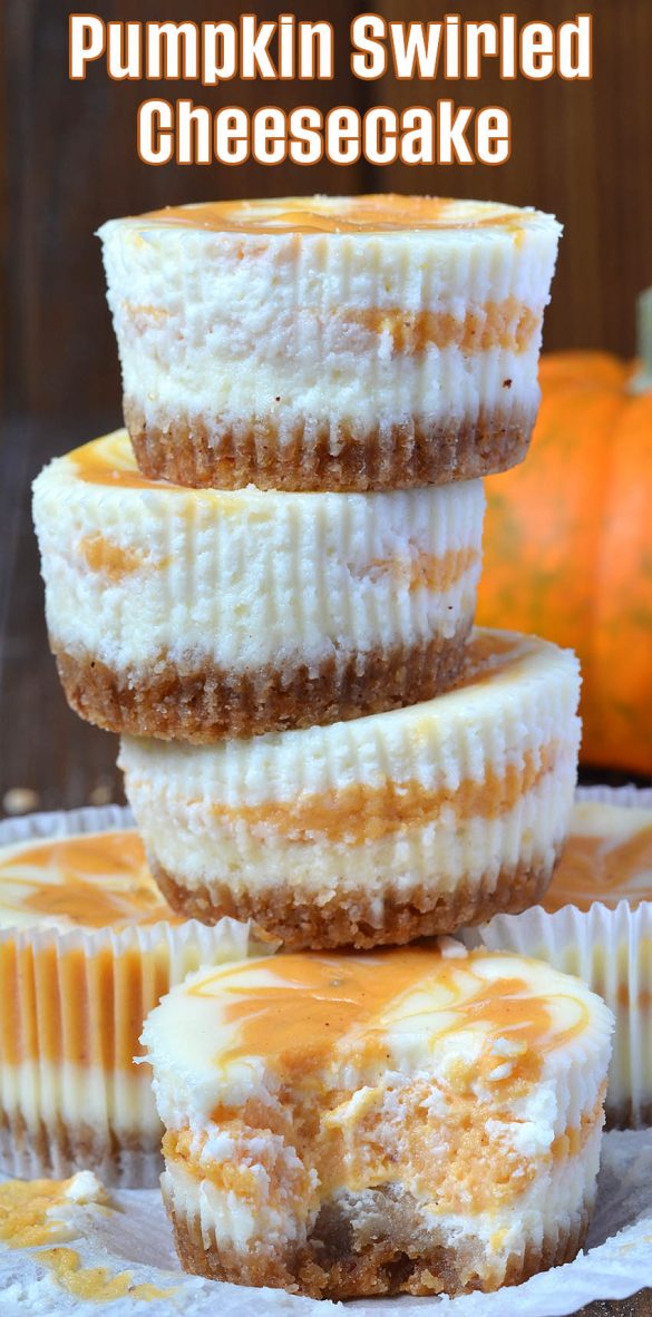 Mini Pumpkin Swirled Cheesecakes | Pumpkin Cheesecake Recipe