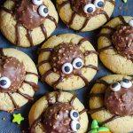 Bunch of chocolate spider sugar cookies