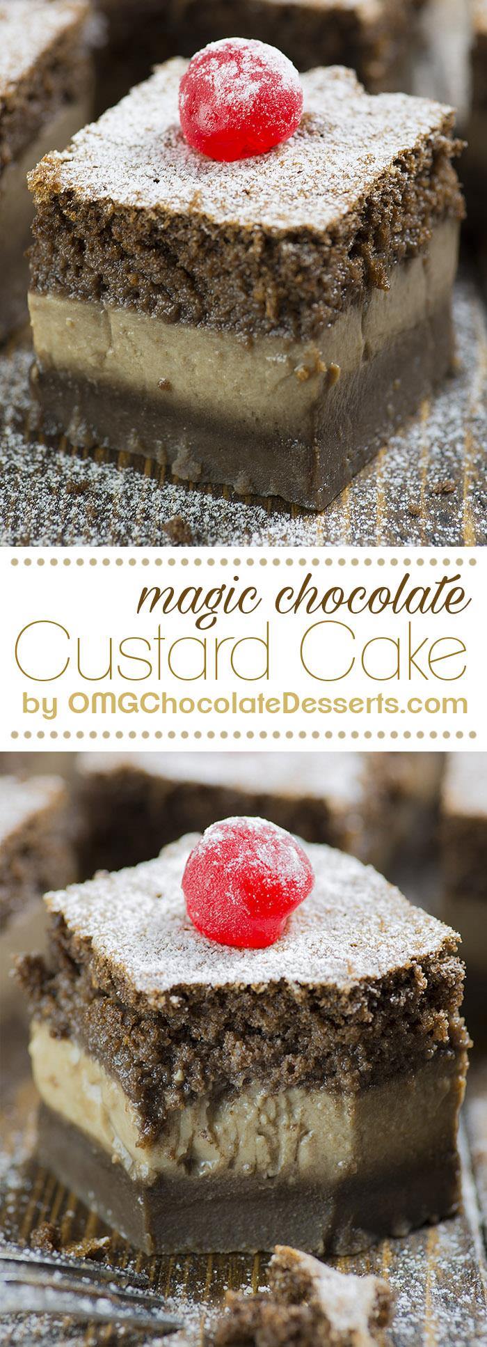 Chocolate Magic Custard Cake - OMG Chocolate Desserts