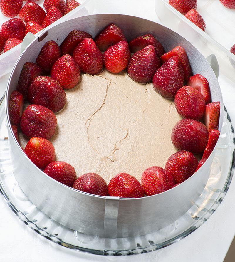 Chocolate Cake with Strawberry Mousse FIlling - Baking Sense®