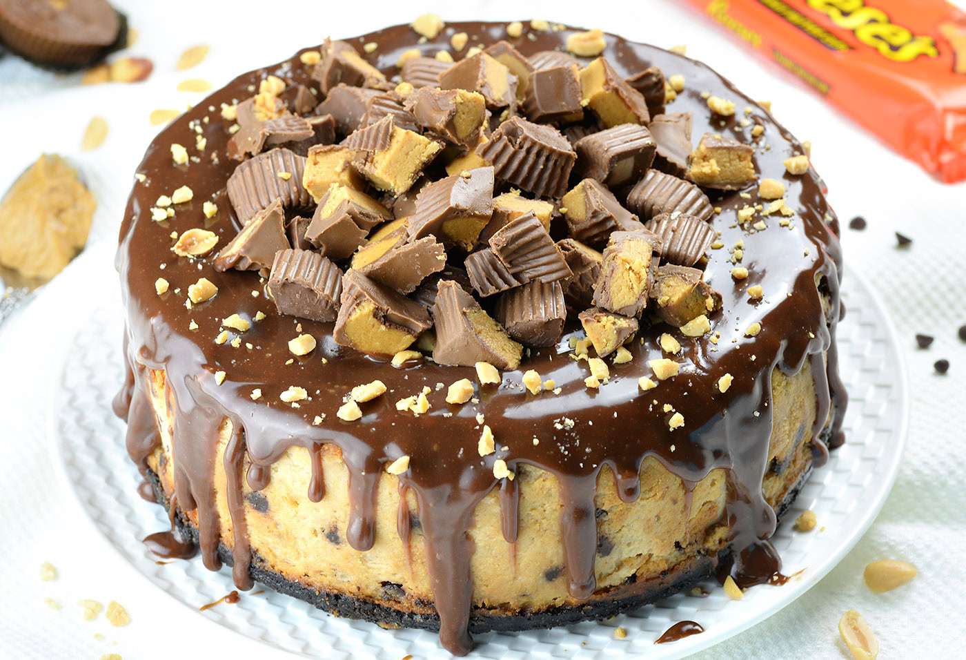 Whole chocolate peanut butter cheesecake with chocolate ganache and peanut butter cup topping on a white plate.