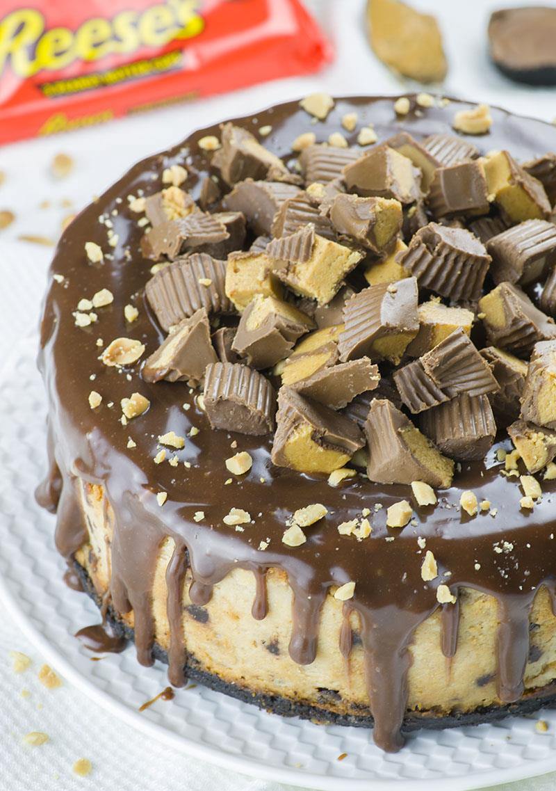 Chocolate Peanut Butter Cheesecake - OMG Chocolate Desserts