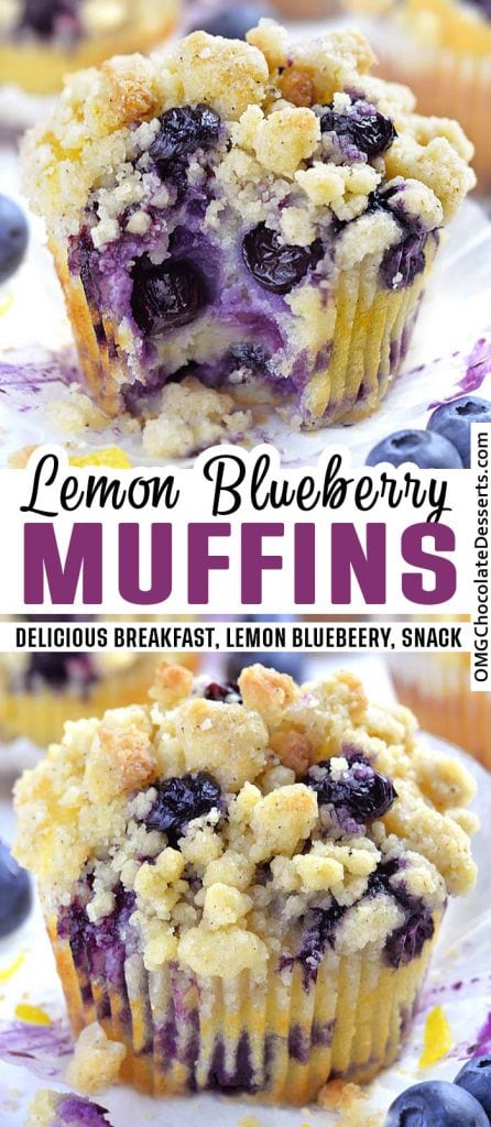 Lemon Blueberry Muffins | Easy Healthy Blueberry Muffin Breakfast Recipe