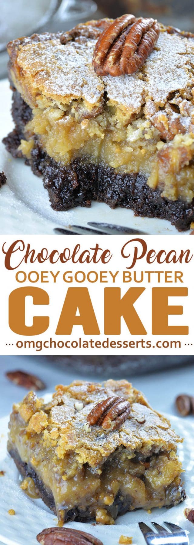 Chocolate Pecan Ooey Gooey Butter Cake - OMG Chocolate Desserts