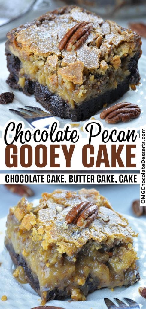 Chocolate Pecan Ooey Gooey Butter Cake - OMG Chocolate Desserts