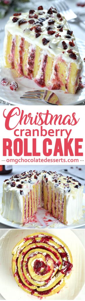 Cranberry Christmas Cake - OMG Chocolate Desserts