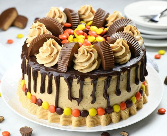 Peanut Butter Chocolate Cake | Cake Mix Recipe with Peanut Butter Cups