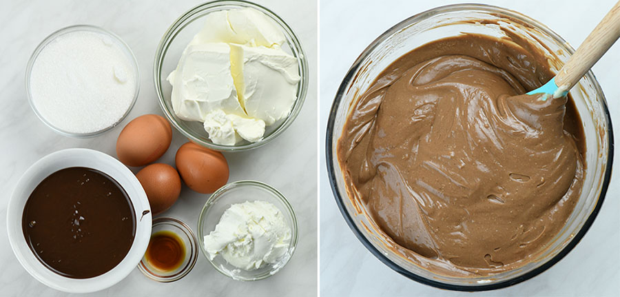 Ingredients for chocolate cheesecake batter.
