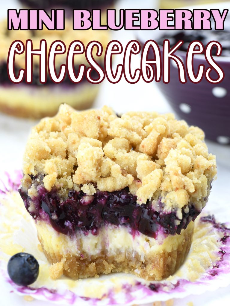 Close-up of a mini blueberry cheesecake with a crumbly topping, creamy cheesecake layer, and a juicy blueberry filling, surrounded by a few scattered blueberries.